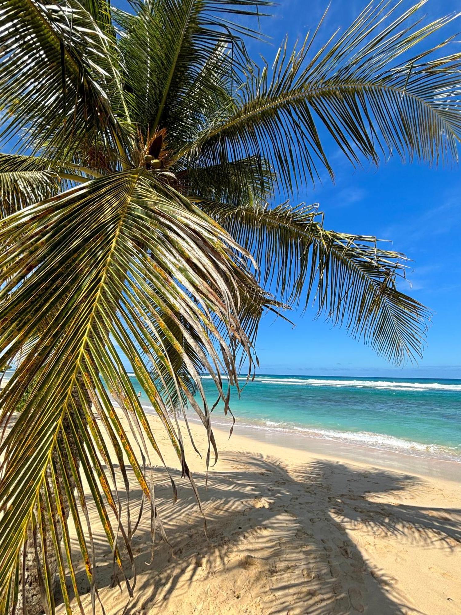 Lavann Wouj - Proche Des Plages Et Du Bourg Villa Anse-Bertrand Bagian luar foto