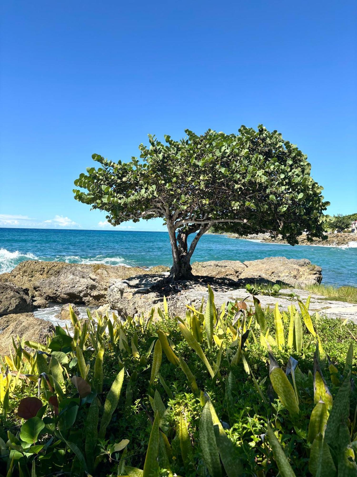 Lavann Wouj - Proche Des Plages Et Du Bourg Villa Anse-Bertrand Bagian luar foto