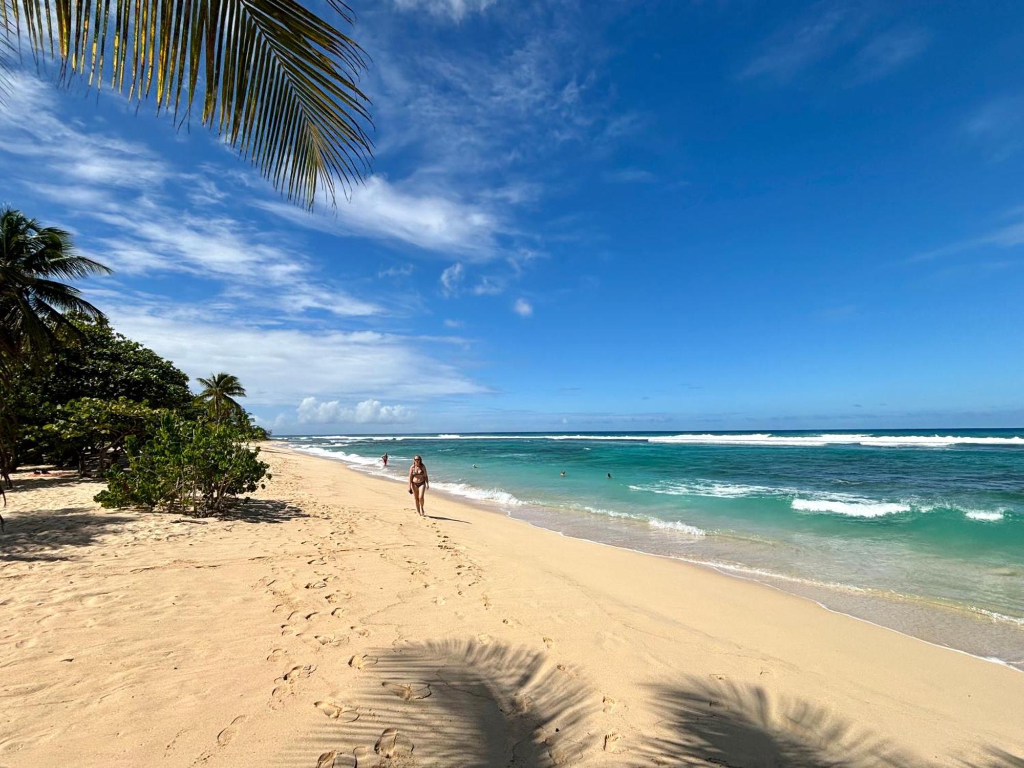 Lavann Wouj - Proche Des Plages Et Du Bourg Villa Anse-Bertrand Bagian luar foto